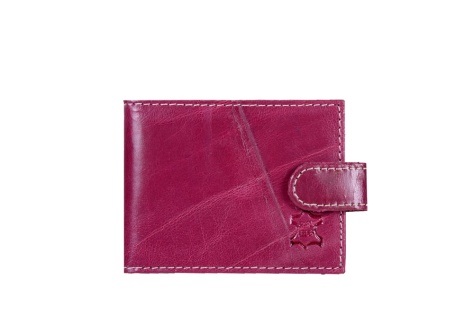 Kožené pouzdro na doklady mix SQU 102