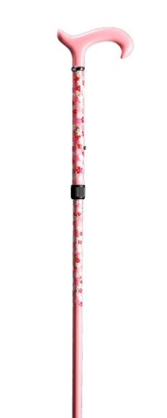 Nastavitelná vycházková hole