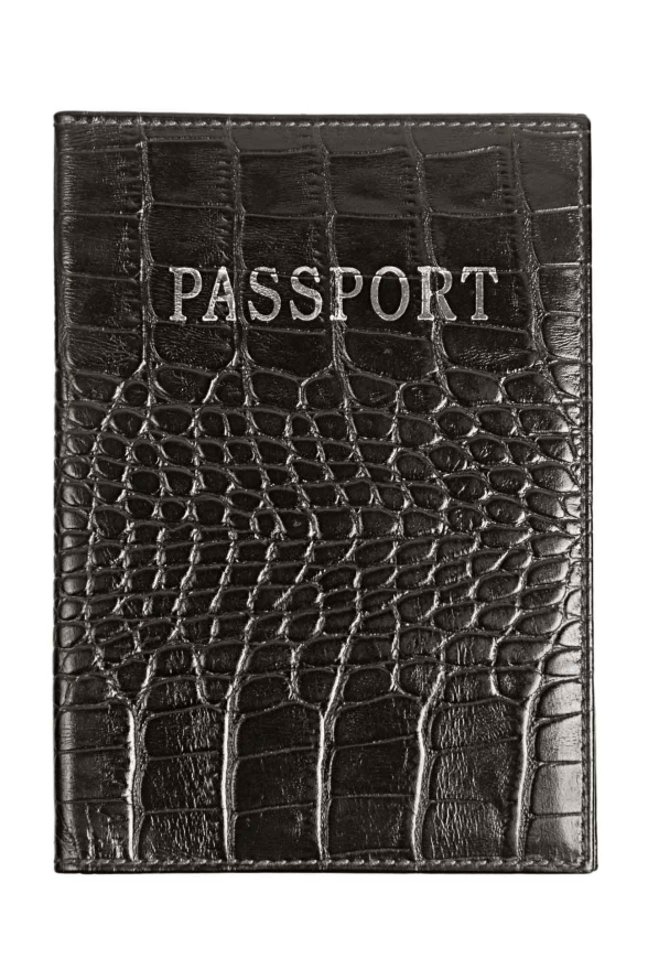 detail kožený obal na cestovní pas