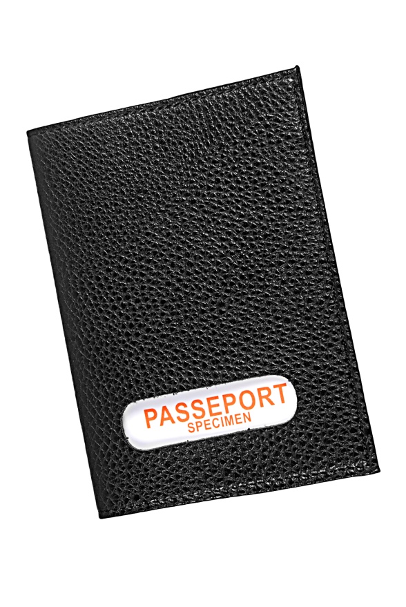 detail Kožené pozdro na pas