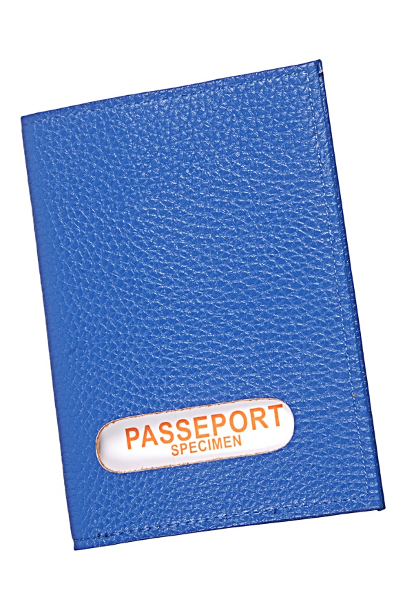 detail Kožené pozdro na pas