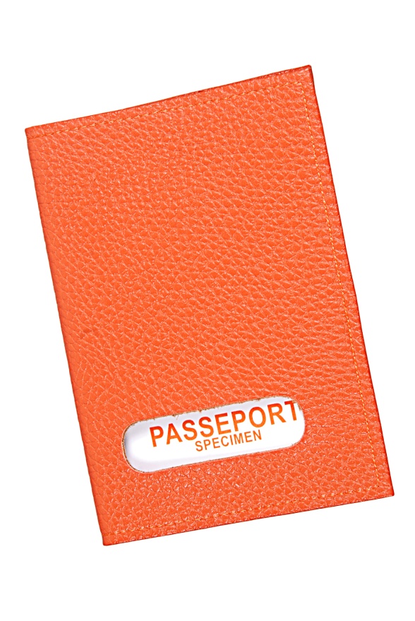 detail Kožené pozdro na pas