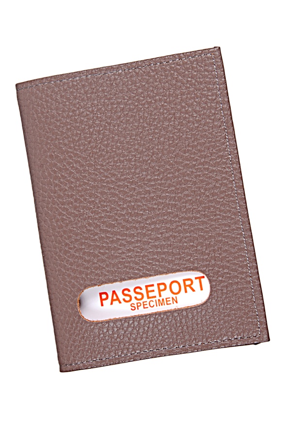 detail Kožené pozdro na pas