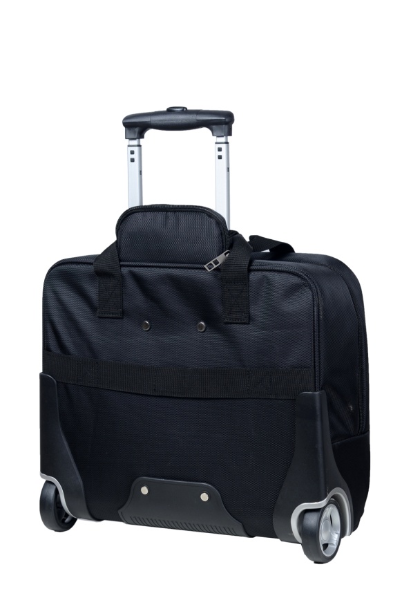 detail business kufr trolley